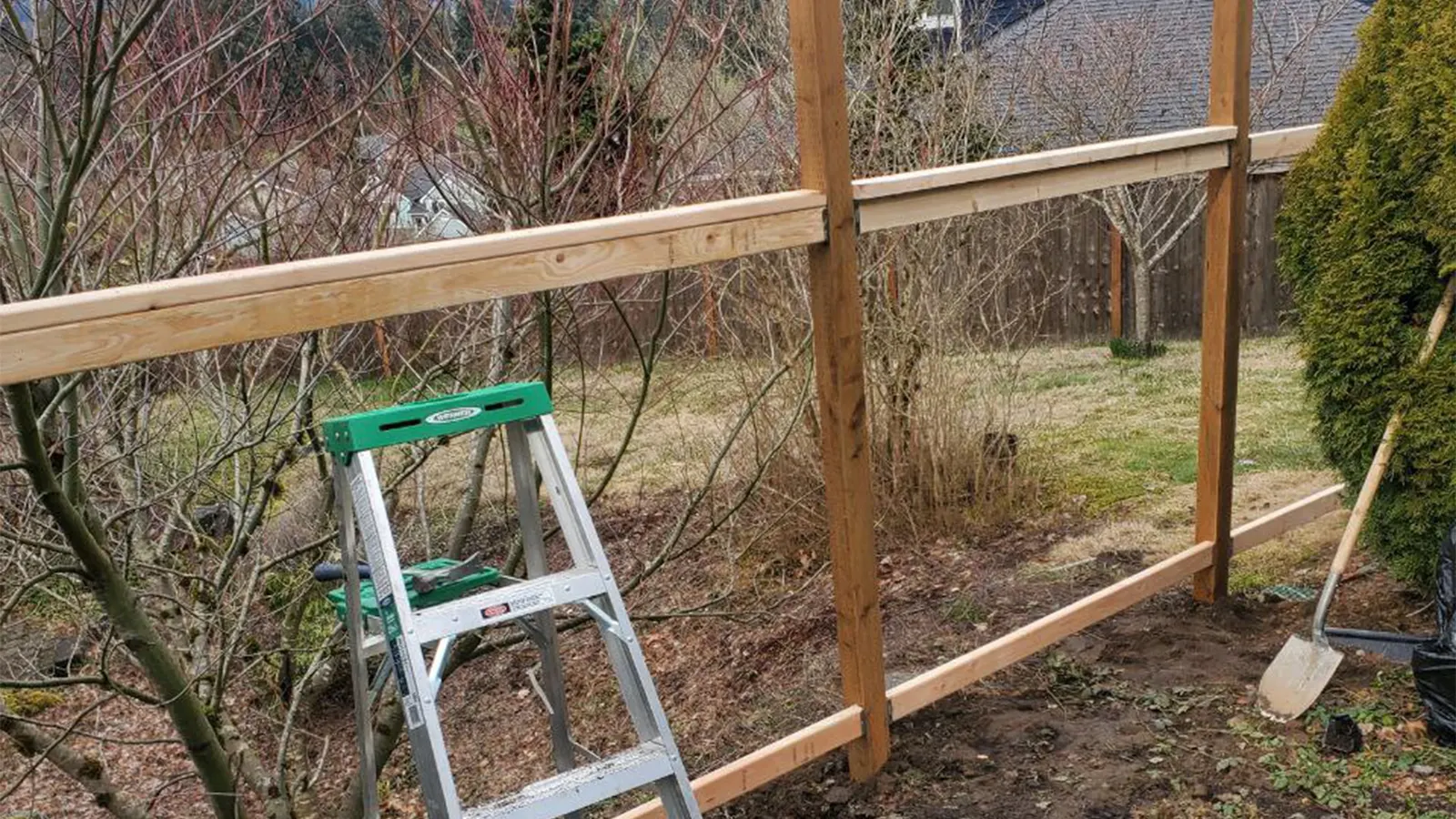 Complete Backyard Transformation – before