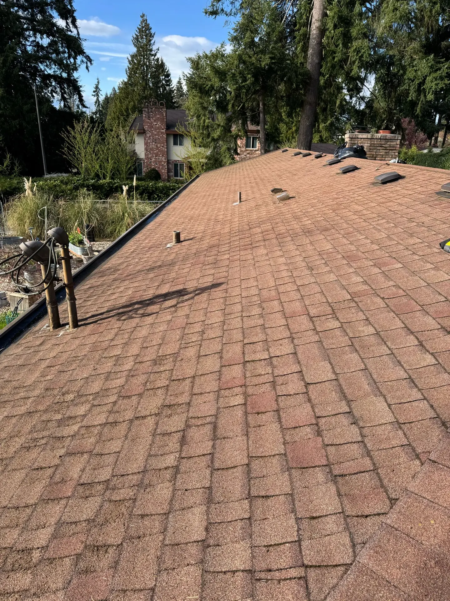 Roof Cleaning