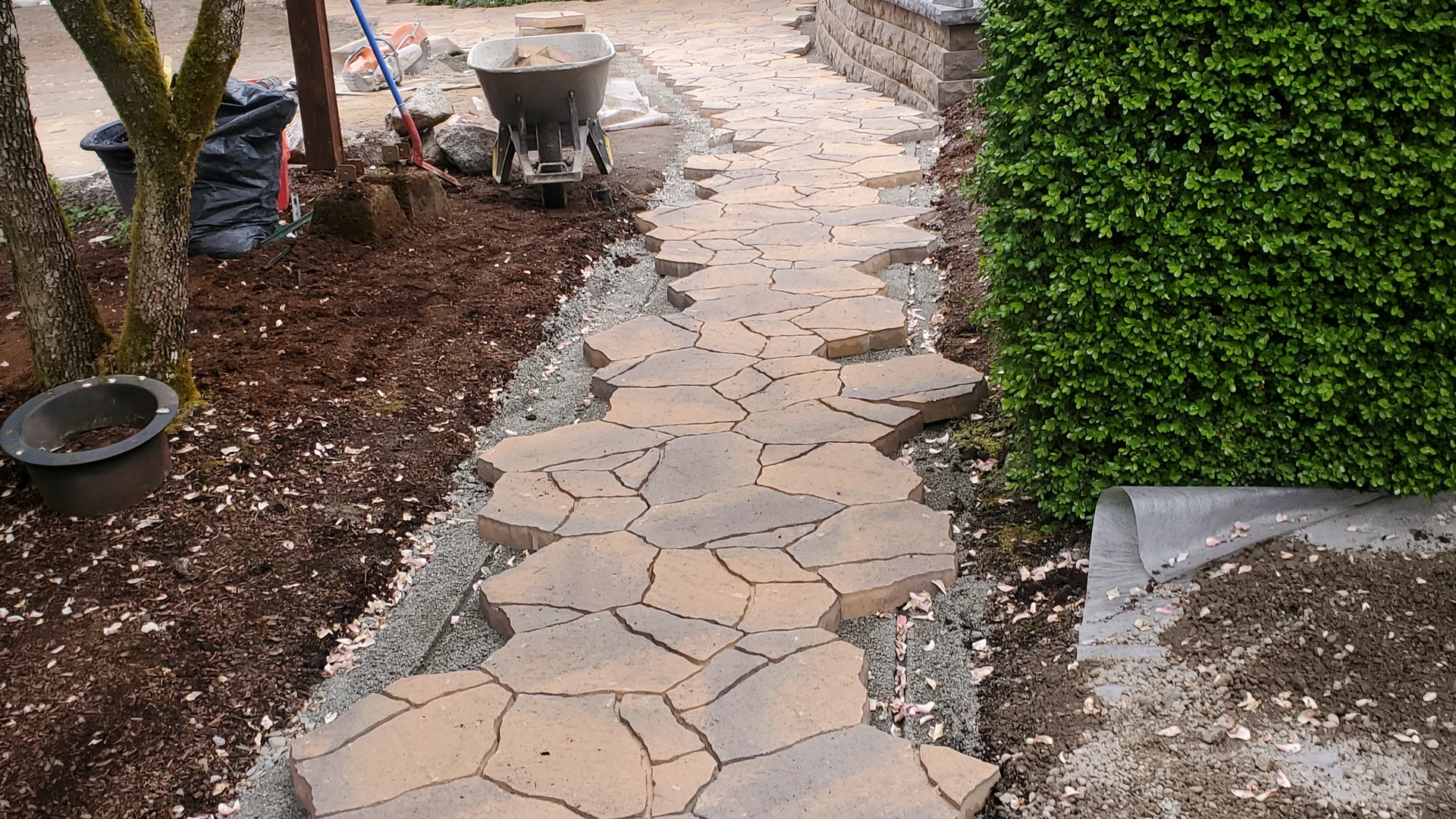 Backyard Patio & Landscape Renovation before work
