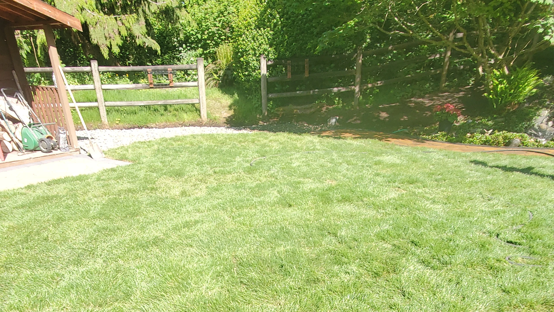 Backyard Patio & Landscape Renovation in Washington by Ecua Landscaping, photo 8 of 17