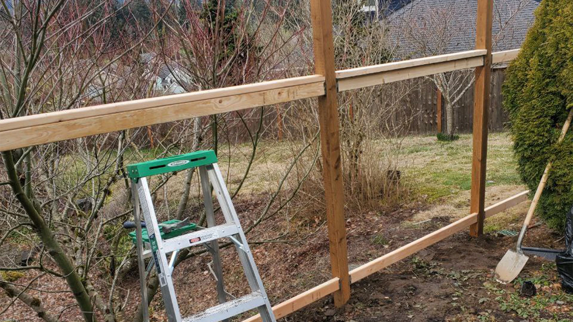 Complete Backyard Transformation before work