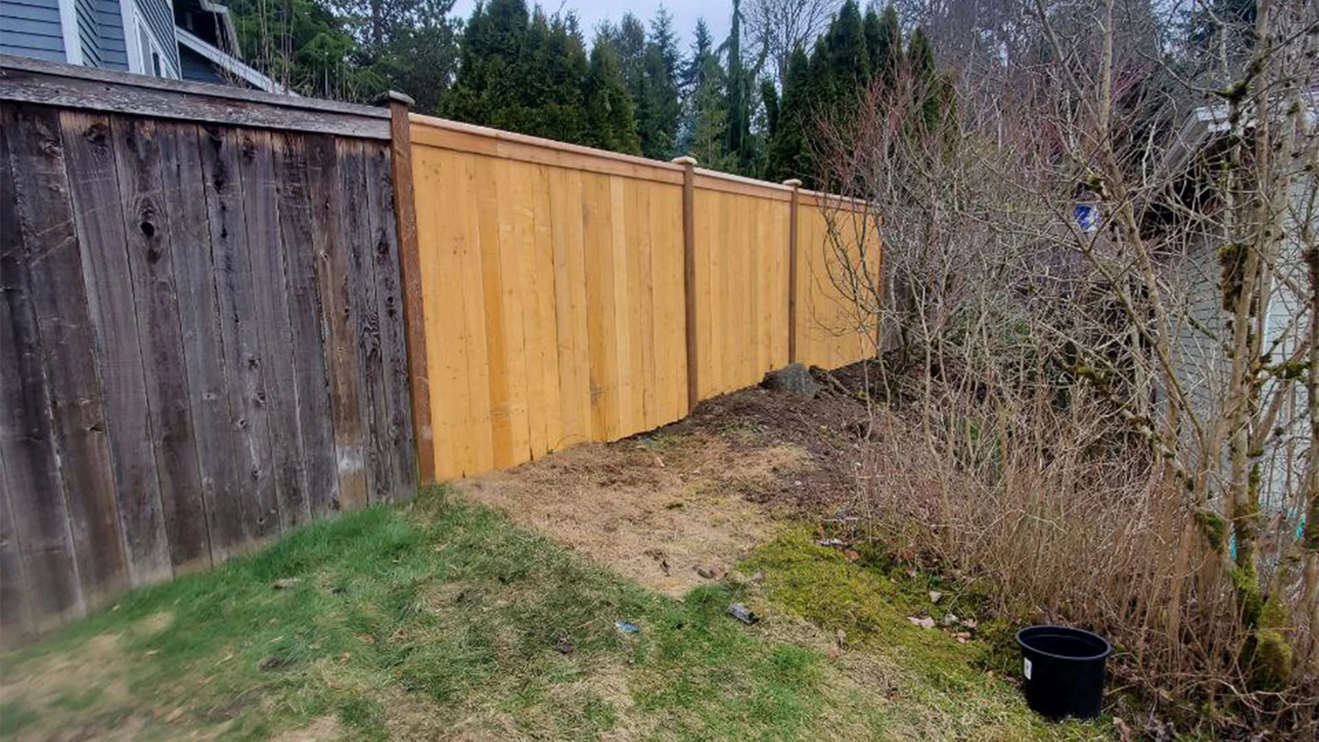 Complete Backyard Transformation in Washington by Ecua Landscaping, photo 3 of 13