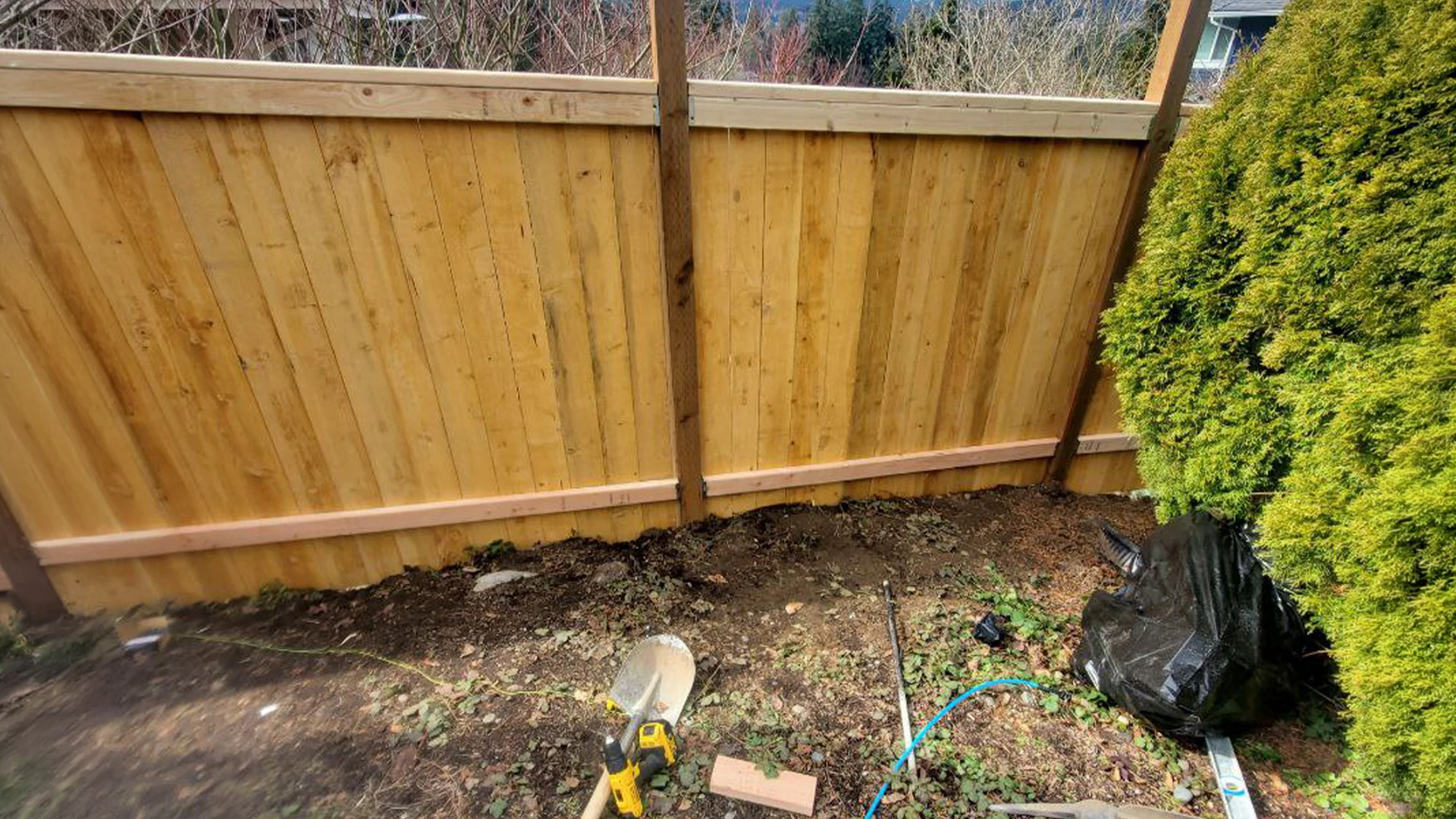 Complete Backyard Transformation in Washington by Ecua Landscaping, photo 4 of 13
