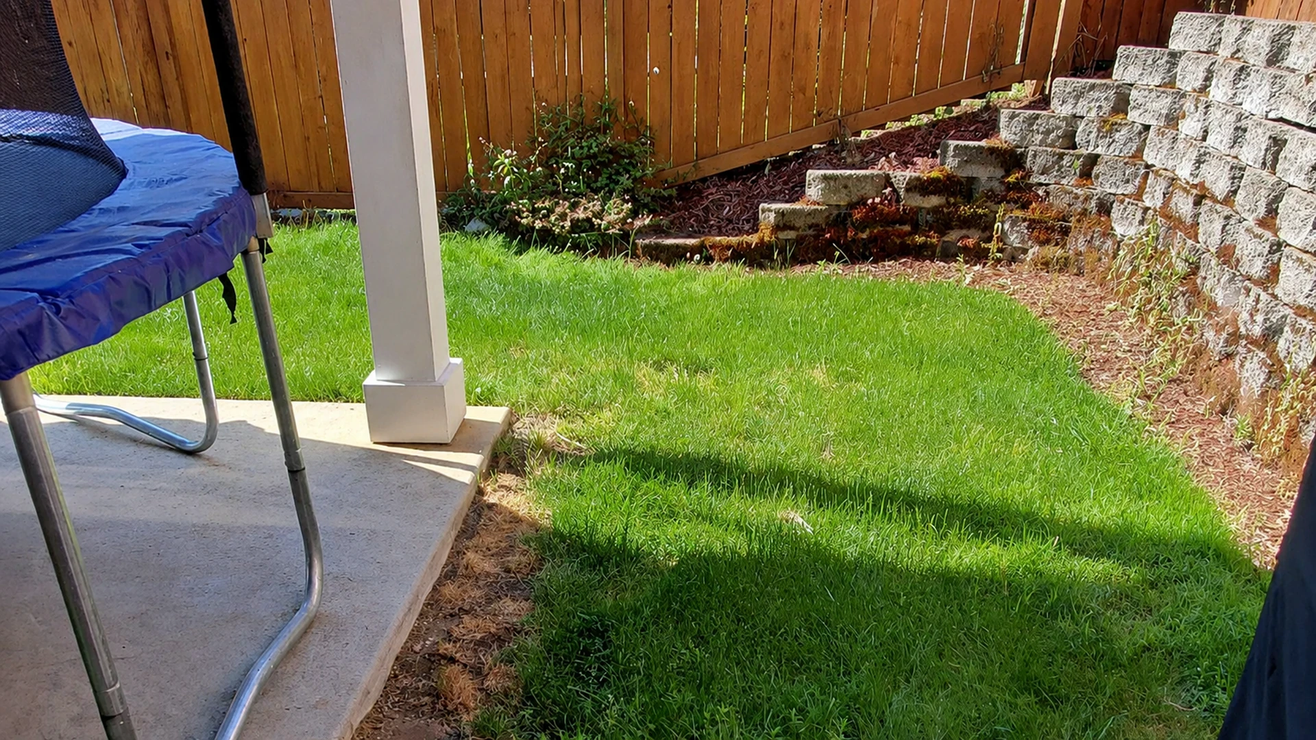Paver Walkway & Backyard Patio in Washington by Ecua Landscaping, photo 5 of 9