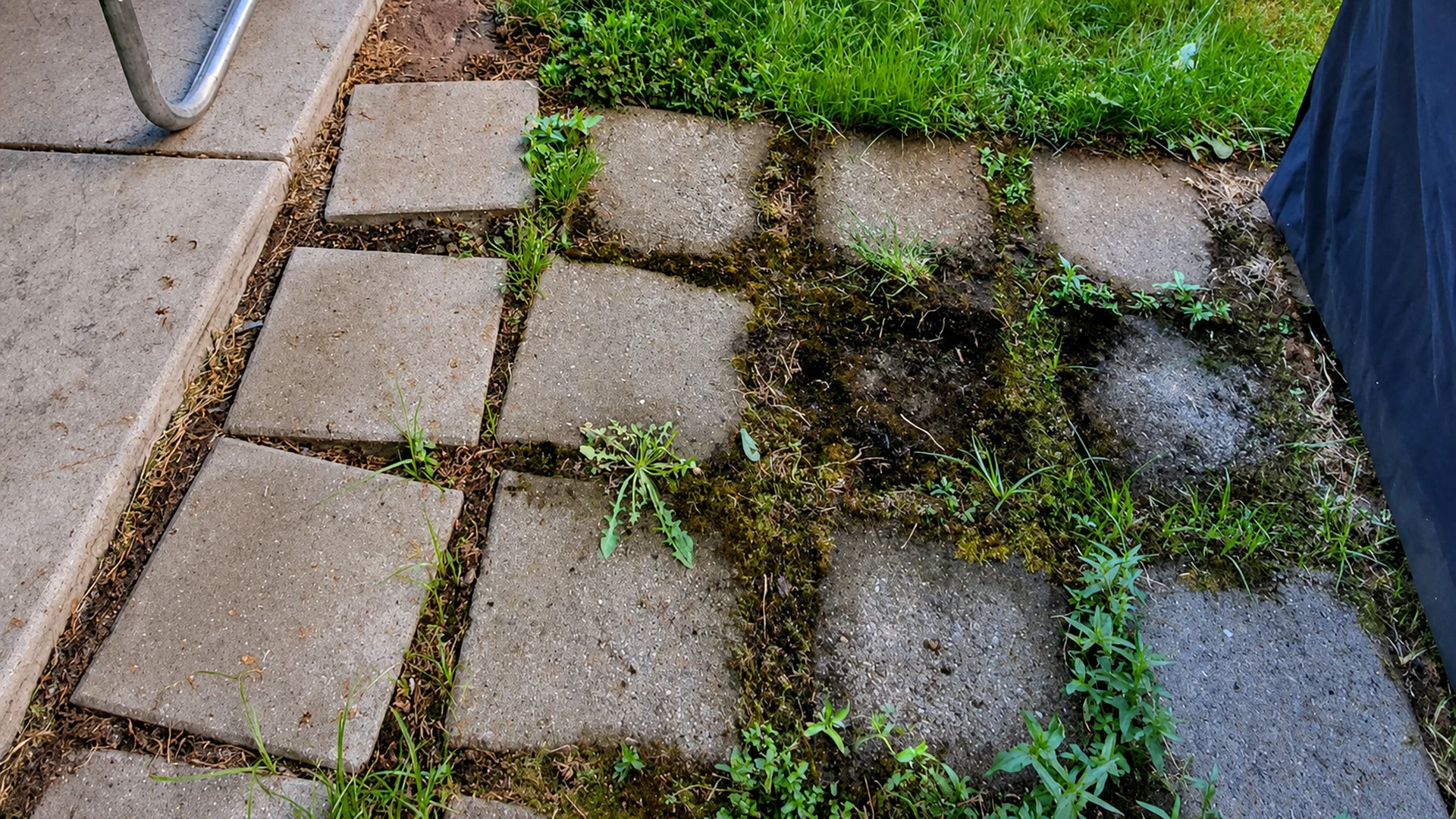 Paver walkway after installation