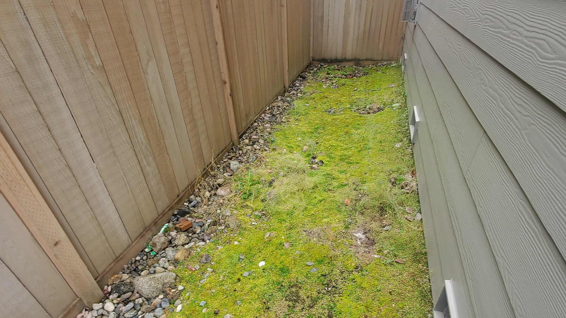 Paver walkway after installation