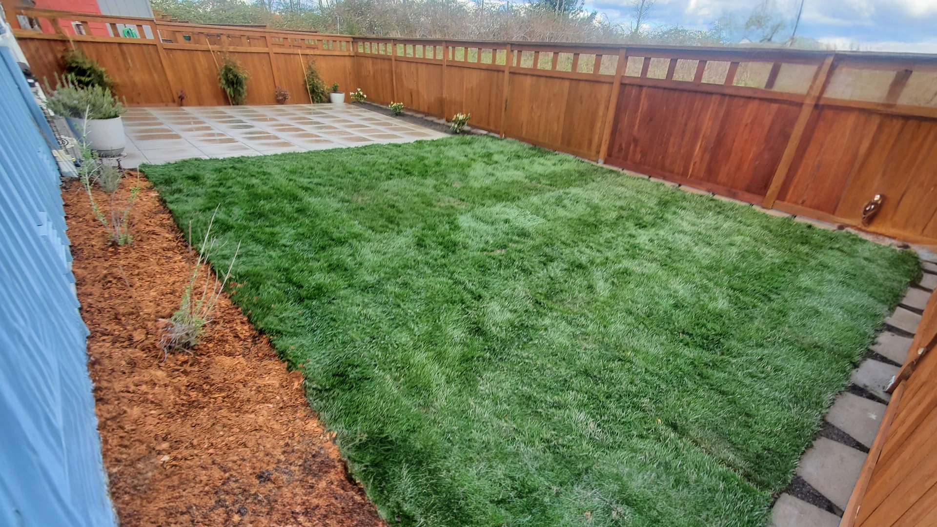 Privacy Fence & New Lawn before work