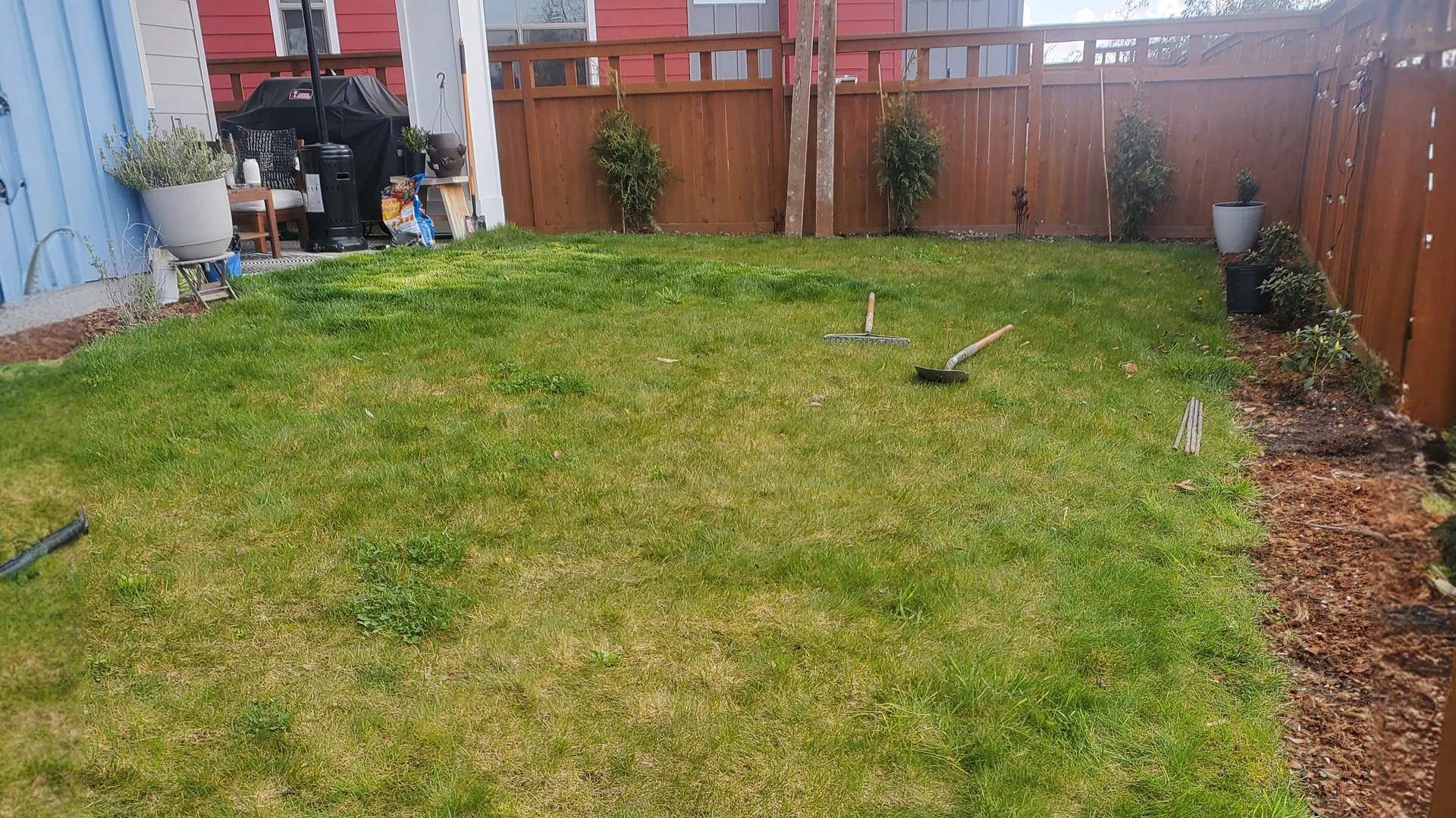Privacy Fence & New Lawn completed project