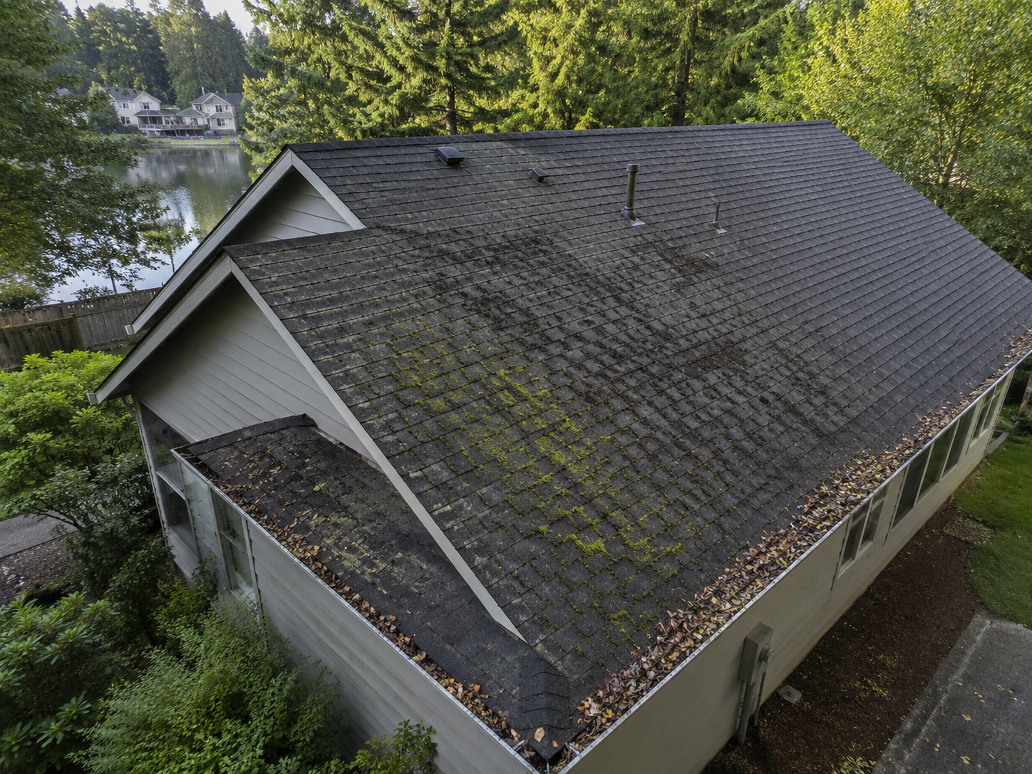 Clean residential roof