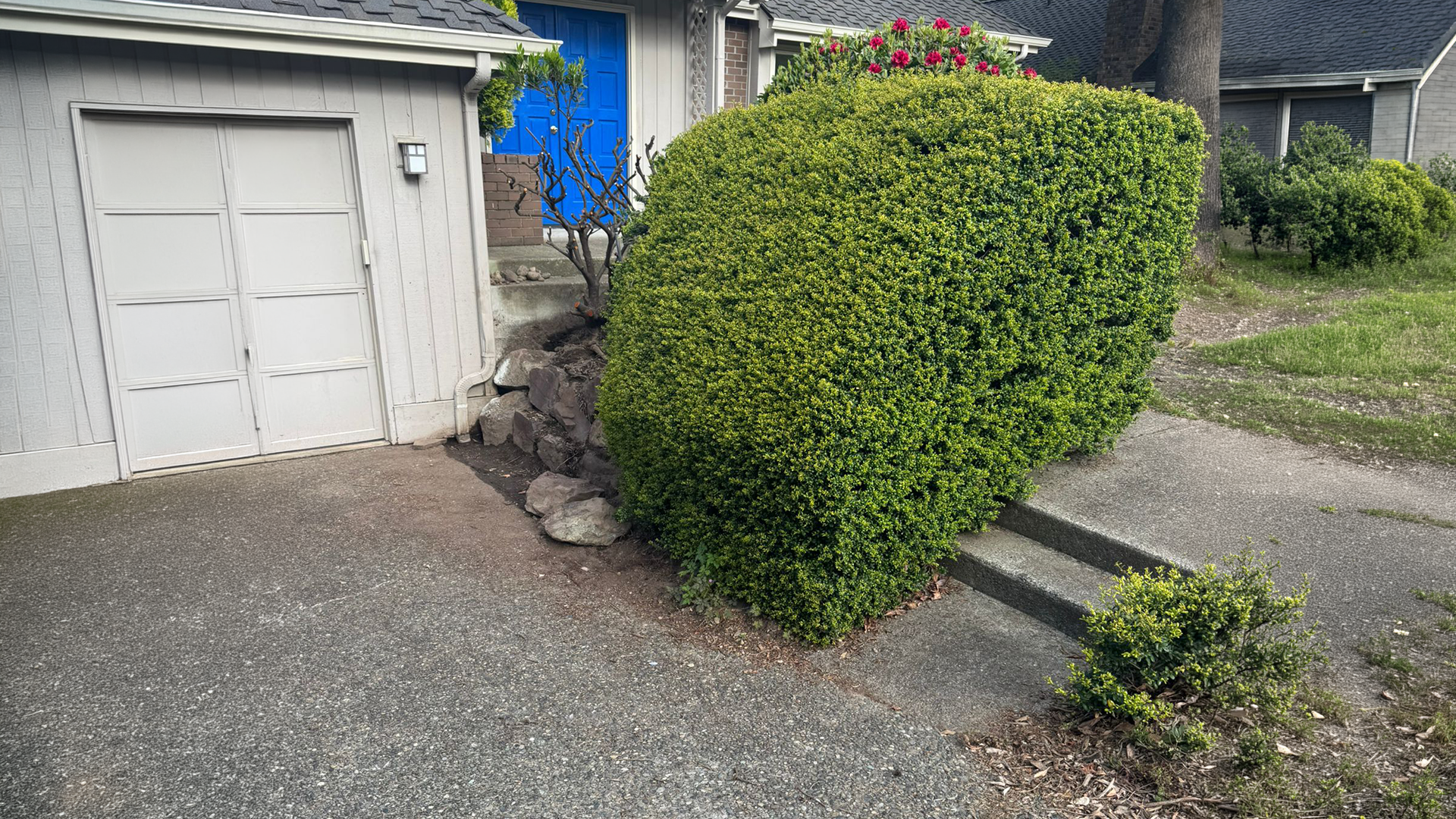 Shrub & Plant Bed Installation after completion