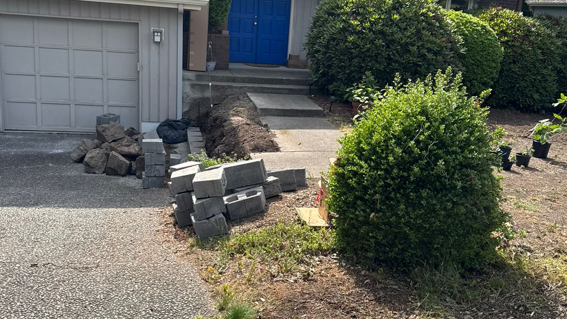 Shrub & Plant Bed Installation in Washington by Ecua Landscaping, photo 4 of 7