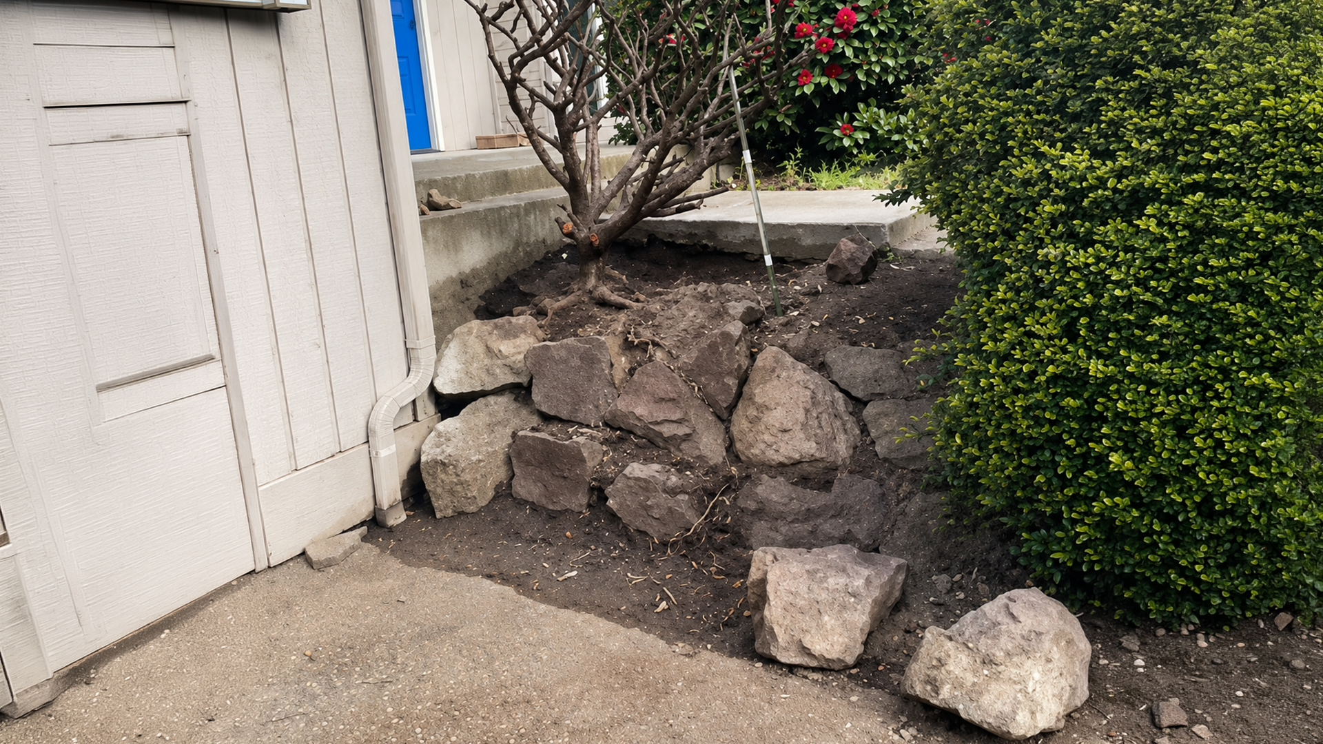 Shrub & Plant Bed Installation in Washington by Ecua Landscaping, photo 6 of 7