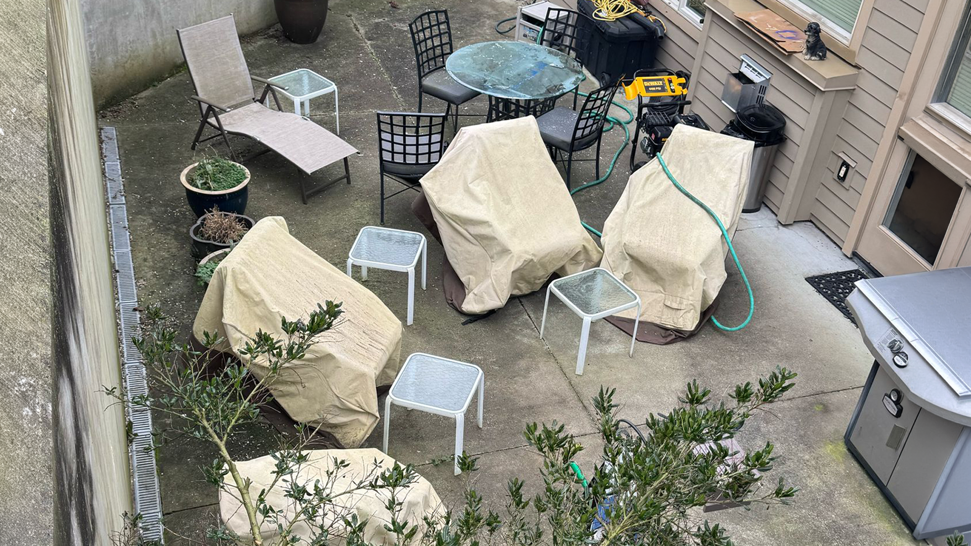 Exterior Cleanup & Refresh in Washington by Ecua Landscaping, photo 3 of 6