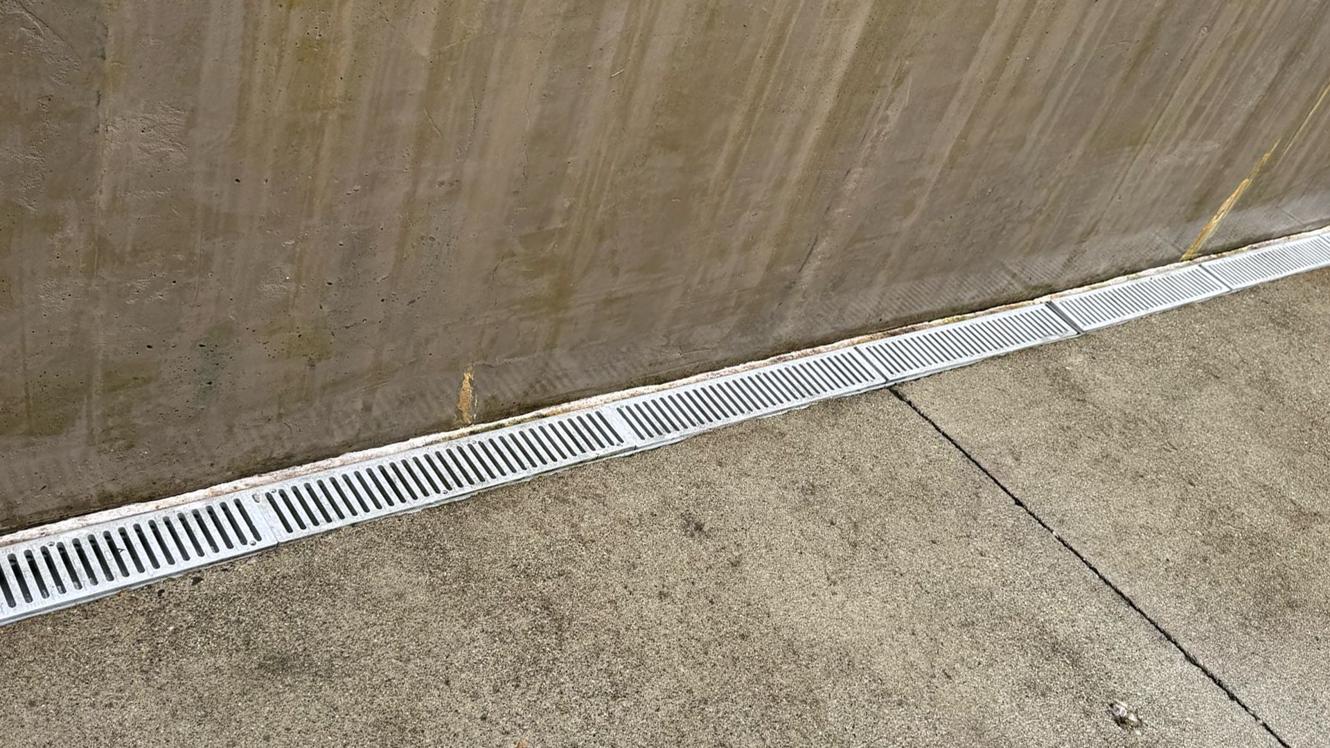Exterior Cleanup & Refresh in Washington by Ecua Landscaping, photo 5 of 6