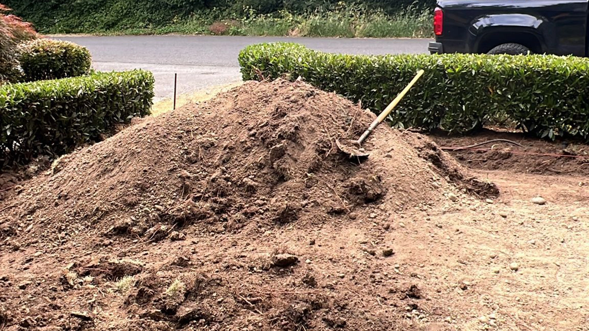 Garden Cleanup & Landscape Refresh in Washington by Ecua Landscaping, photo 1 of 9