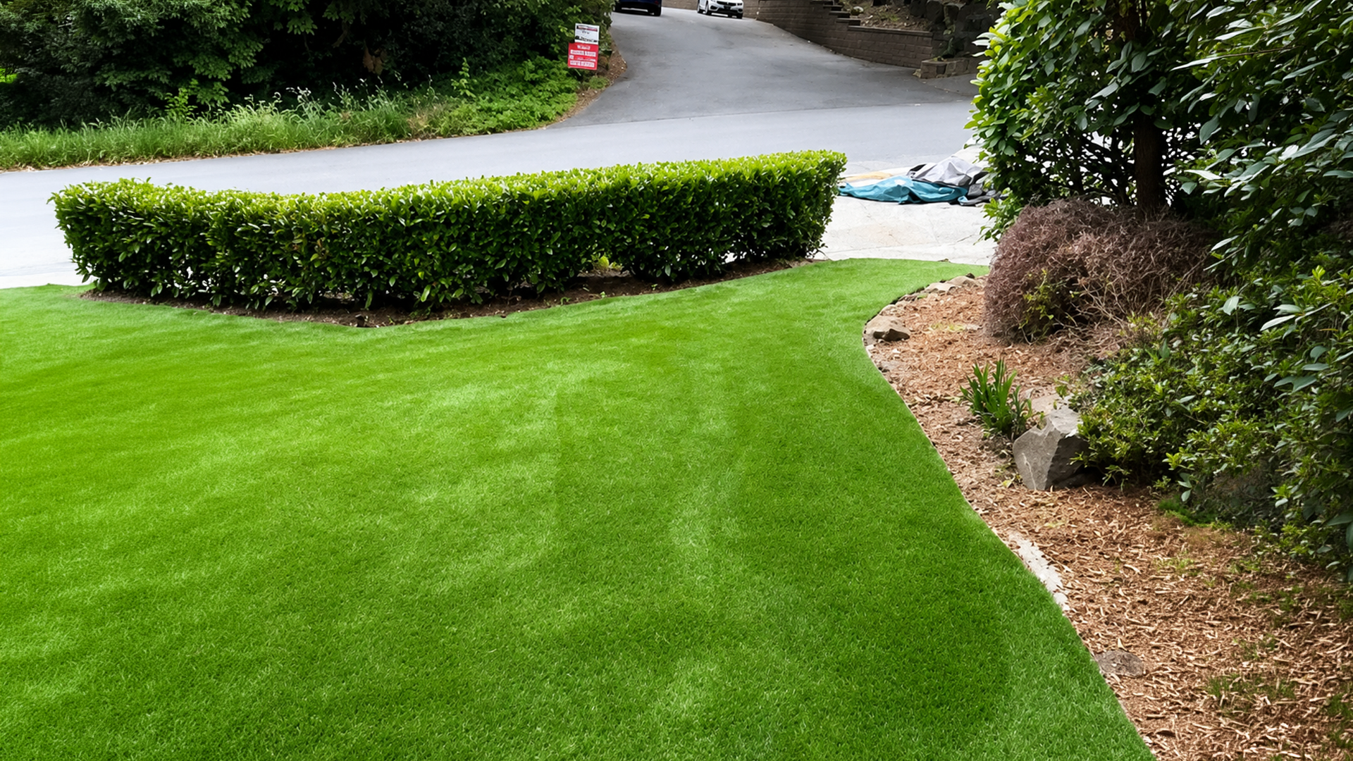 Garden Cleanup & Landscape Refresh in Washington by Ecua Landscaping, photo 7 of 9