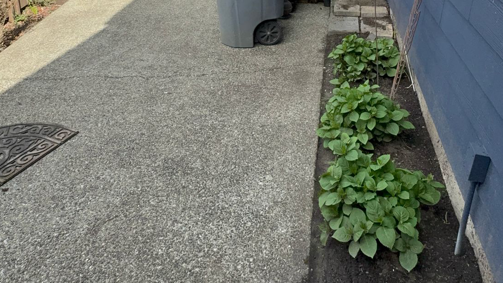 Landscape Design & Installation before work