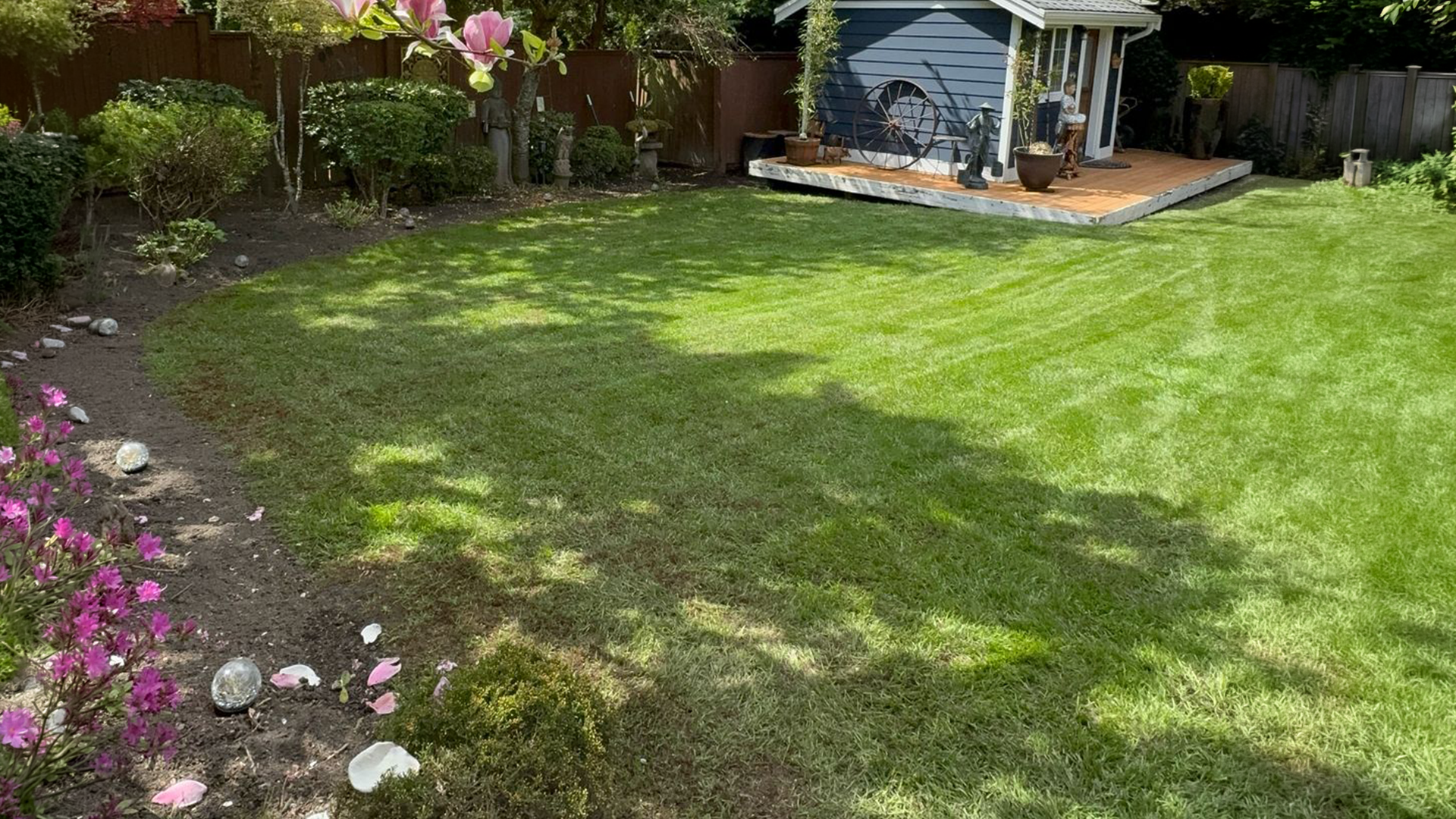 Green lawn and landscape design