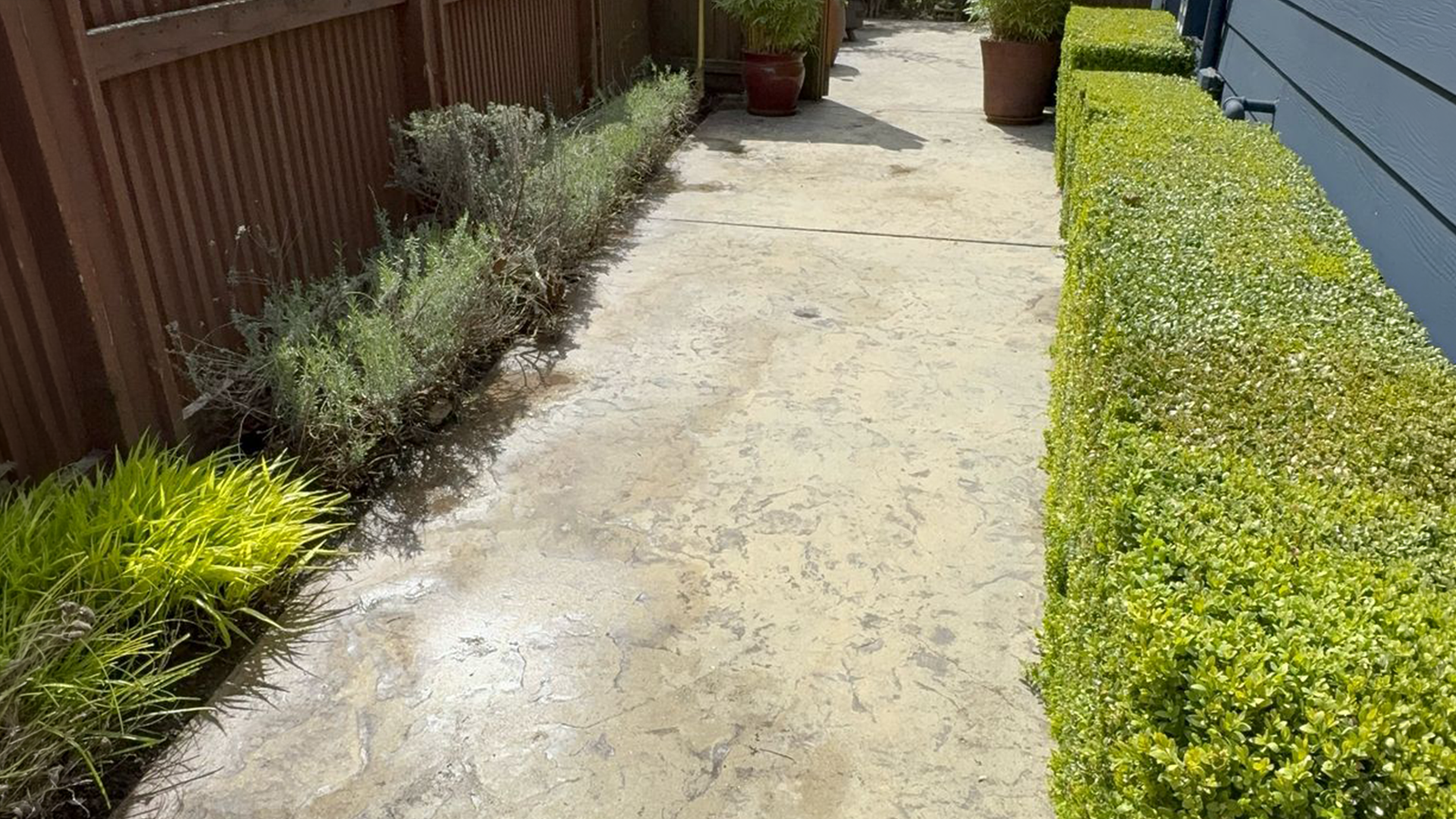 Landscape Design & Installation in Washington by Ecua Landscaping, photo 4 of 10