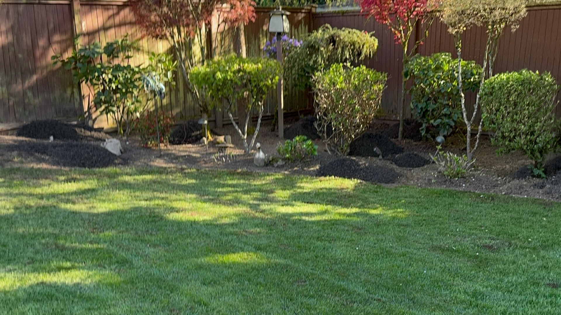 Landscape Design & Installation in Washington by Ecua Landscaping, photo 7 of 10