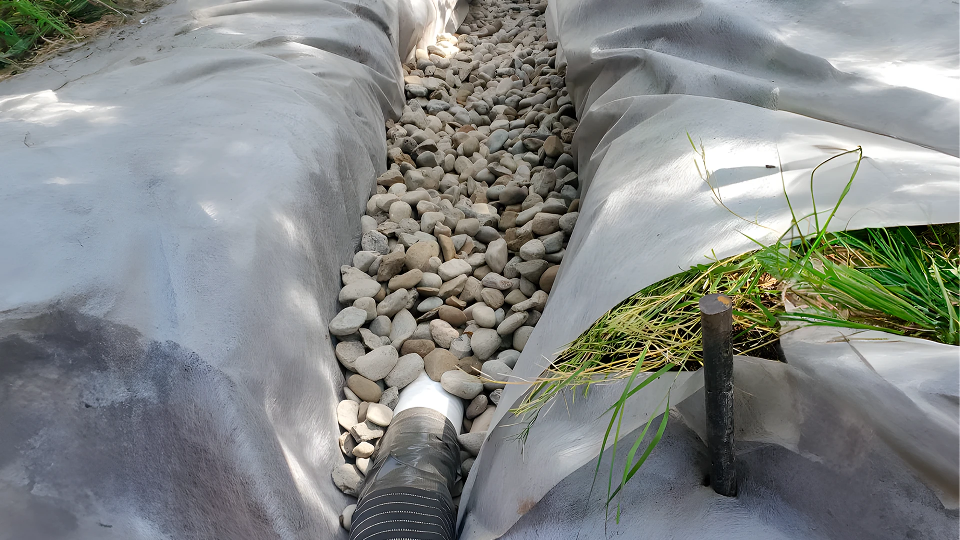 New Lawn Installation in Washington by Ecua Landscaping, photo 10 of 11
