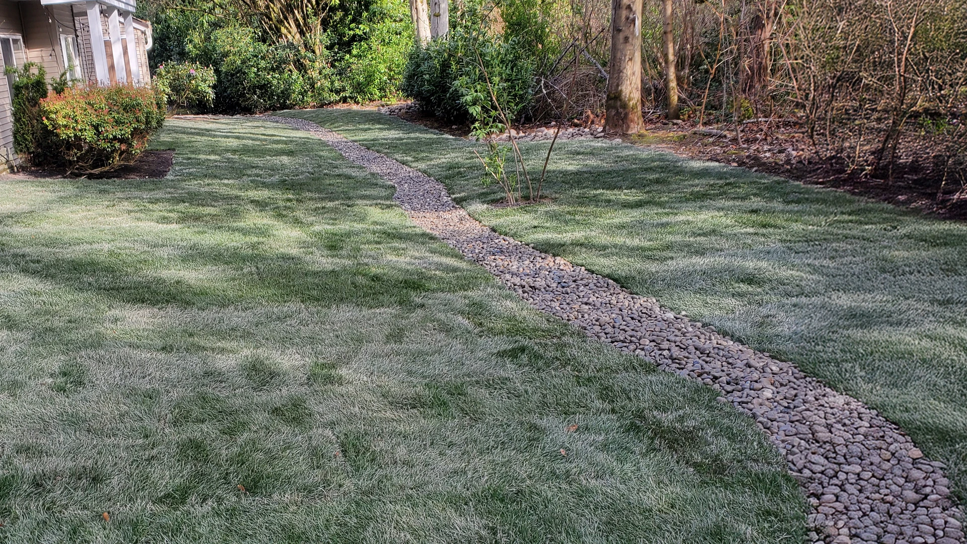 New Lawn Installation completed project