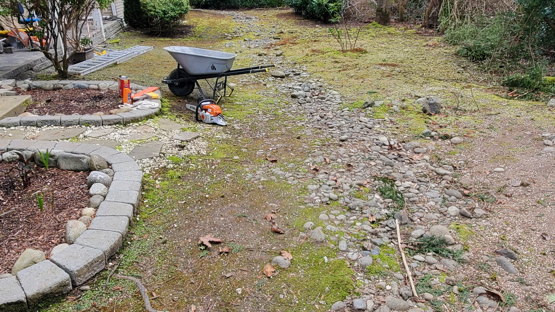 New Lawn Installation in Washington by Ecua Landscaping, photo 3 of 11