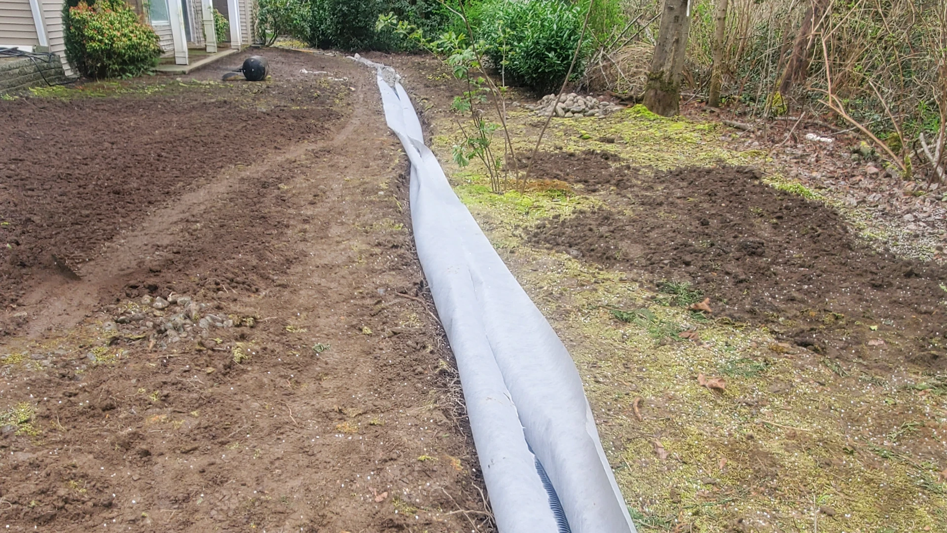 New Lawn Installation in Washington by Ecua Landscaping, photo 4 of 11
