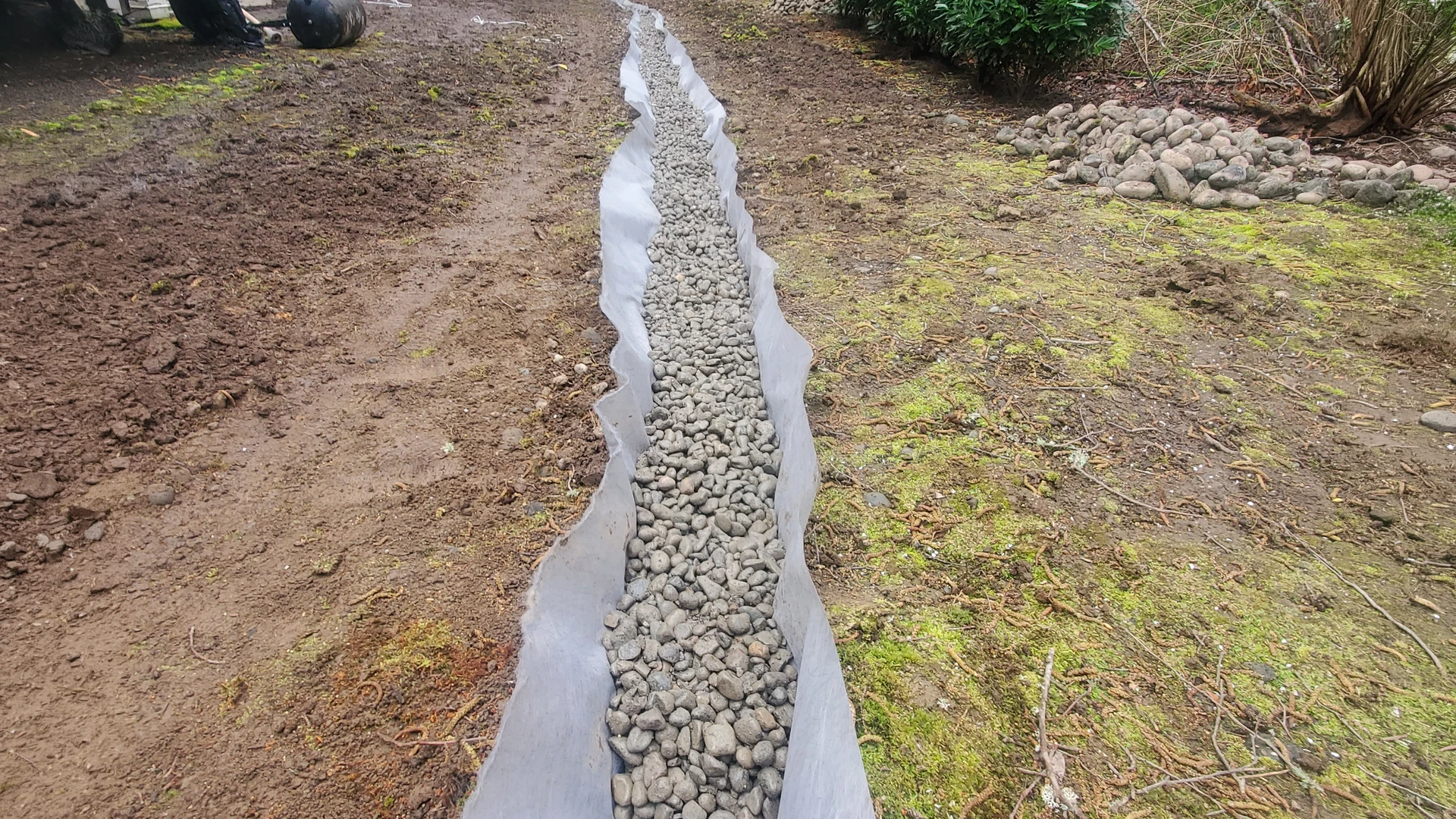 New Lawn Installation in Washington by Ecua Landscaping, photo 6 of 11