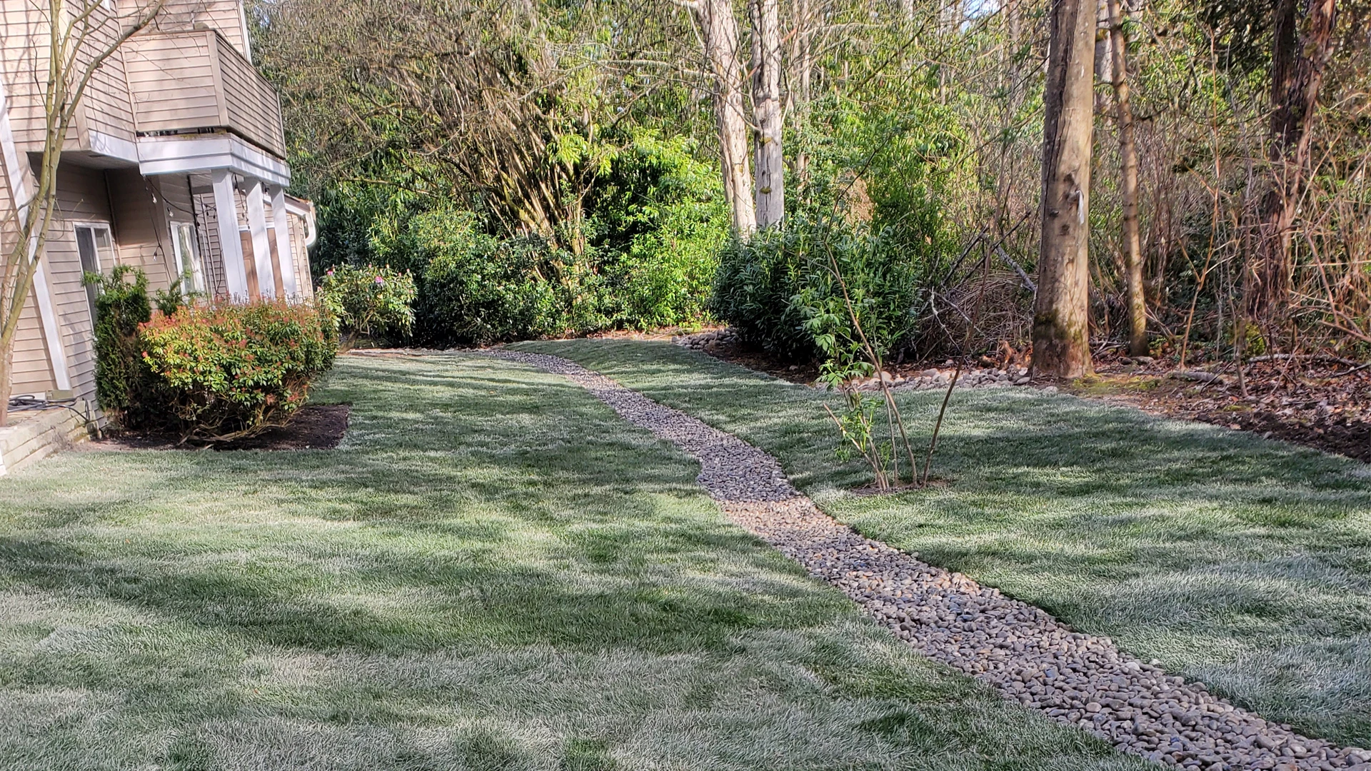 New Lawn Installation in Washington by Ecua Landscaping, photo 8 of 11