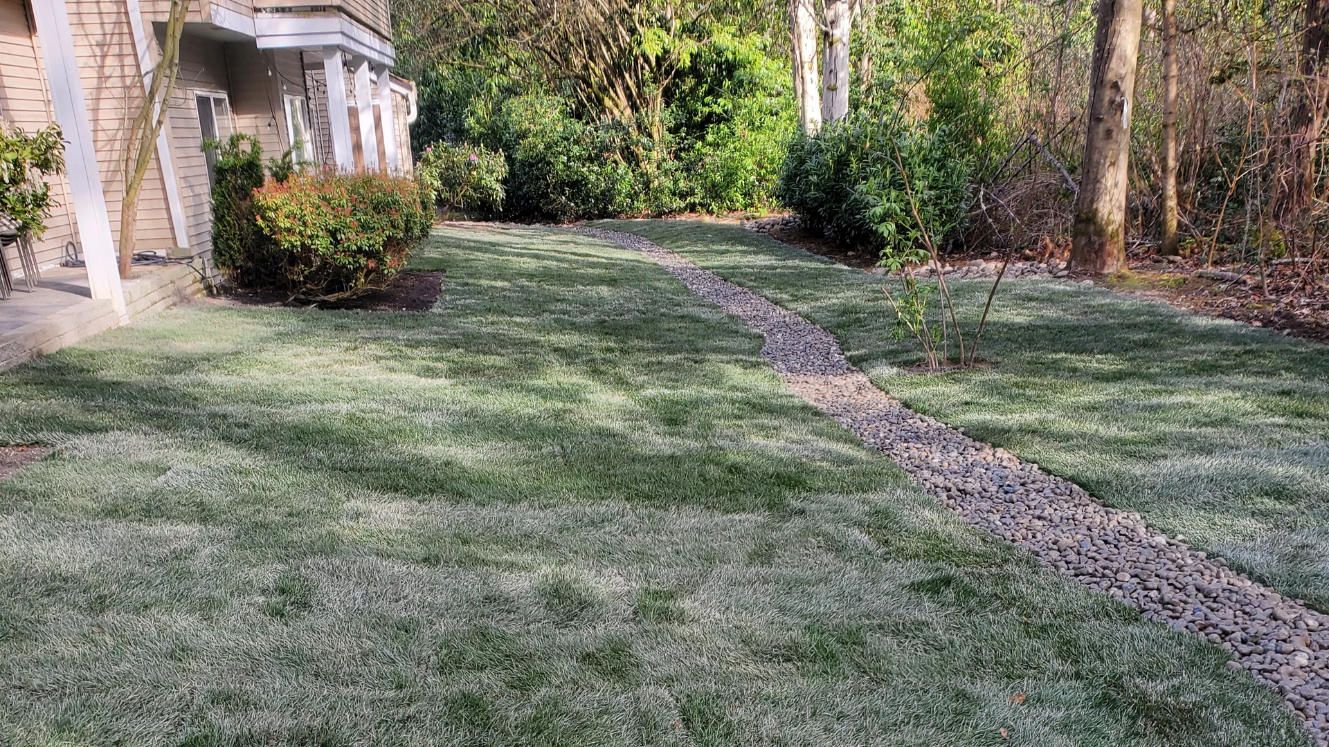 New Lawn Installation in Washington by Ecua Landscaping, photo 9 of 11